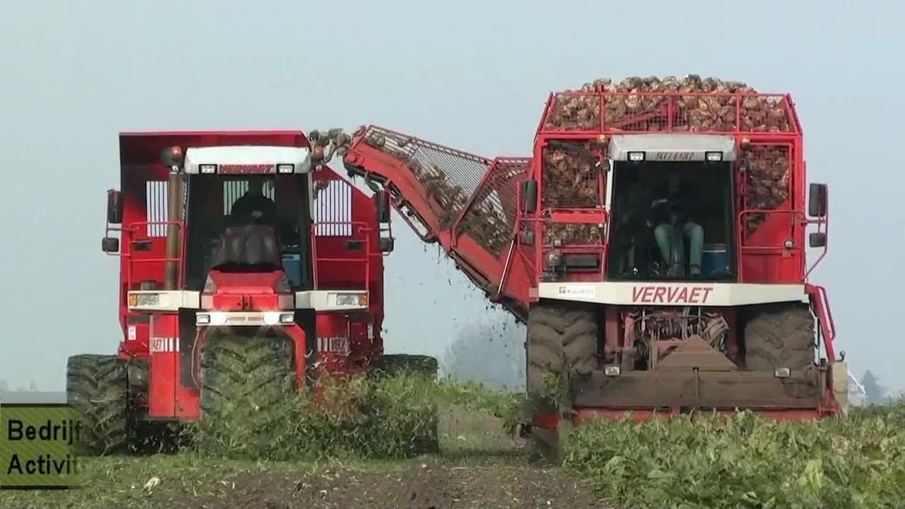 www.trekkertrekker.nl - Loonbedrijf M. van Gastel + Verveat Beet Eater 625 + Verveat XL Panien