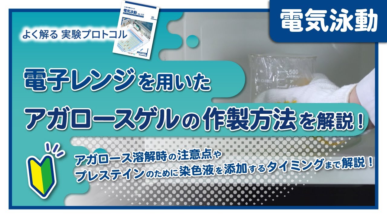 【よく解る実験プロトコル】電子レンジを用いたアガロースゲルの作製方法