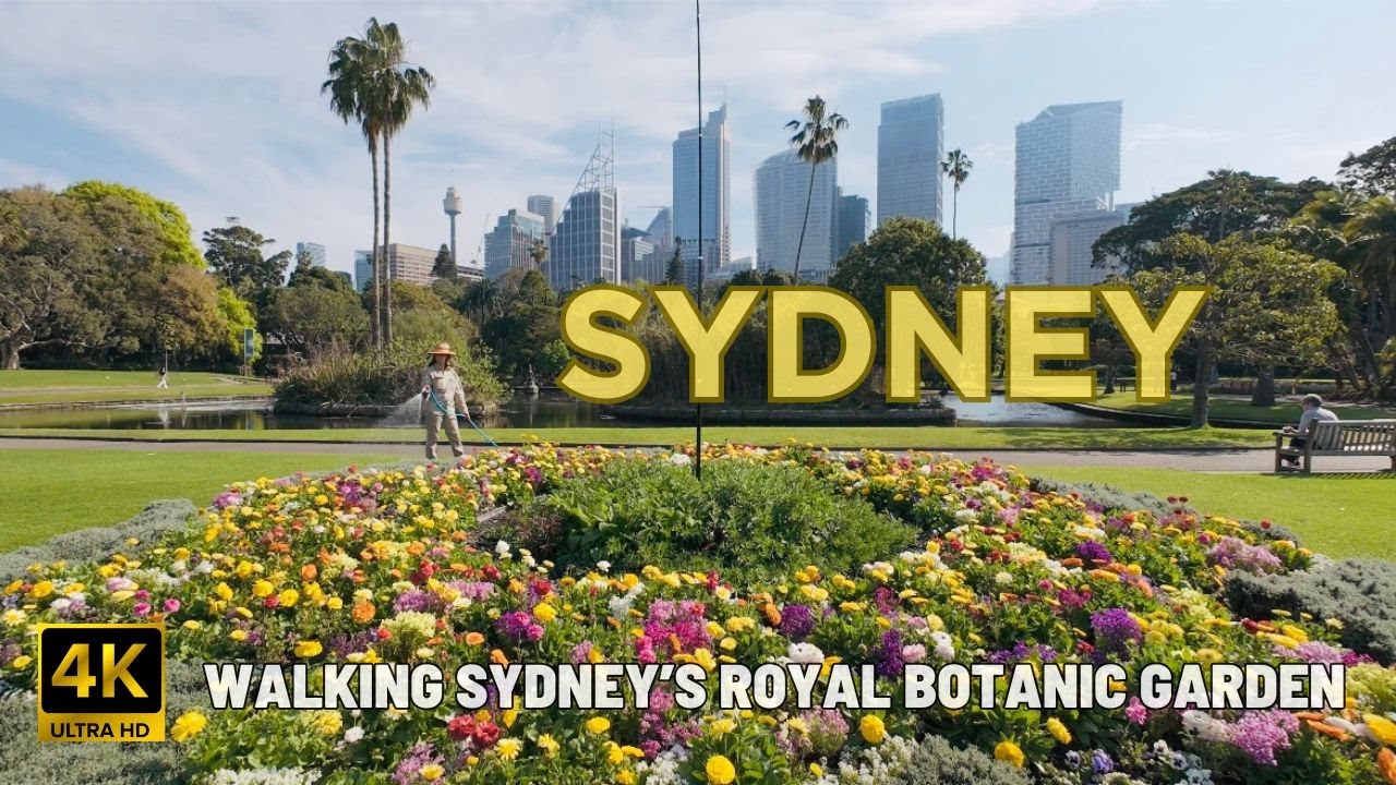 [4K] WALKING SYDNEY'S ROYAL BOTANIC GARDEN | SYDNEY AUSTRALIA SPRING 2024.