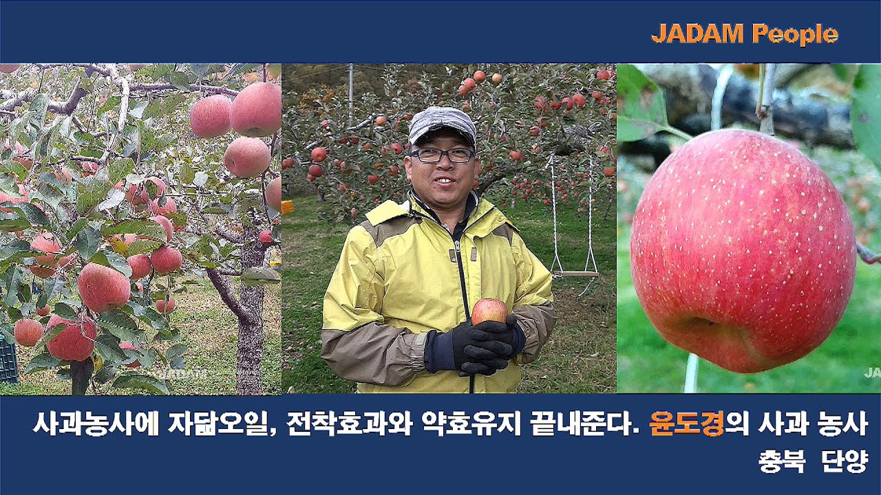 자닮오일, 전착효과와 약효유지 끝내준다. /JWA has a very good electrodeposition effect and medication maintenance.