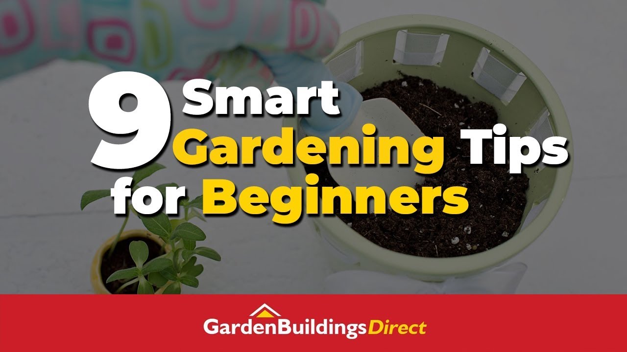 The Best Basic Gardening Tips for Beginners