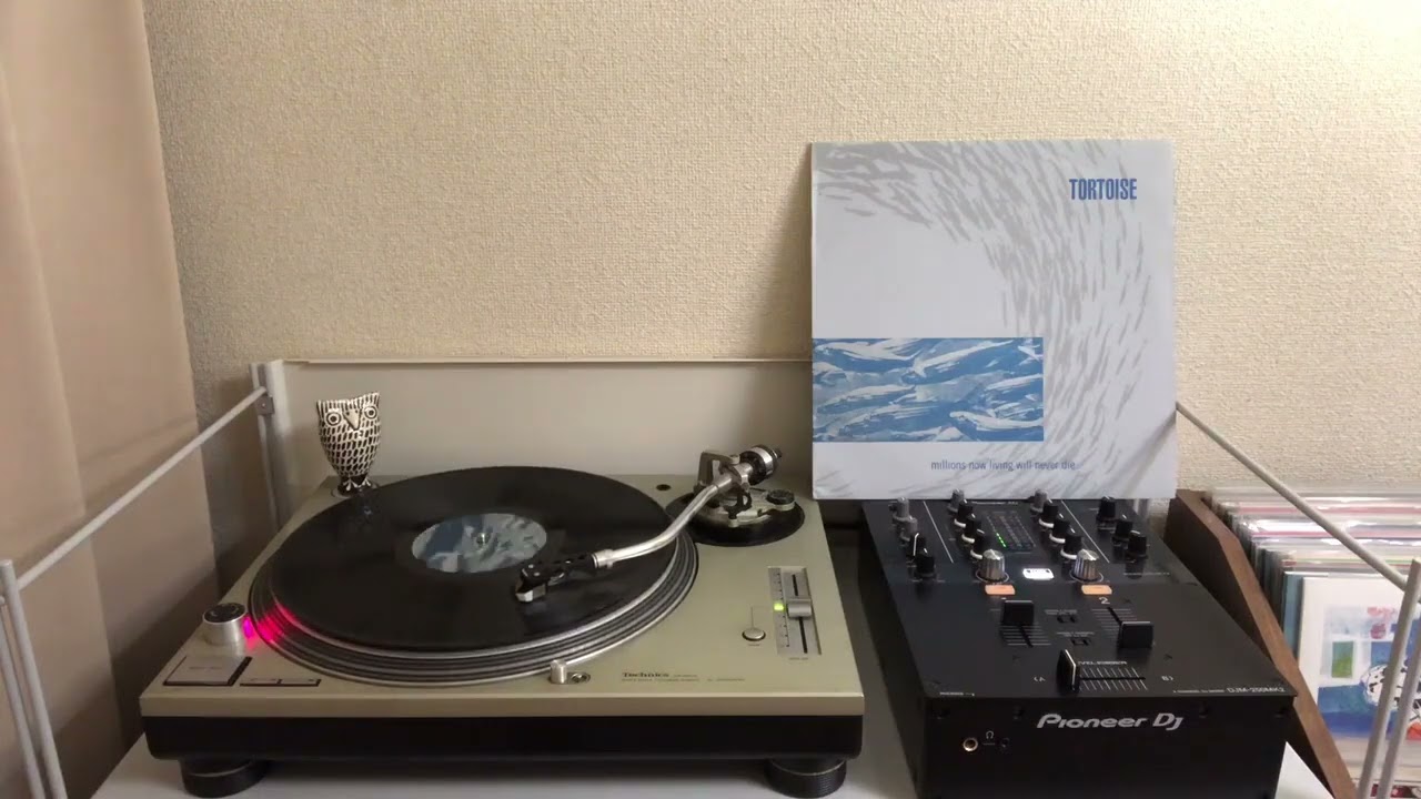 Tortoise - Djed