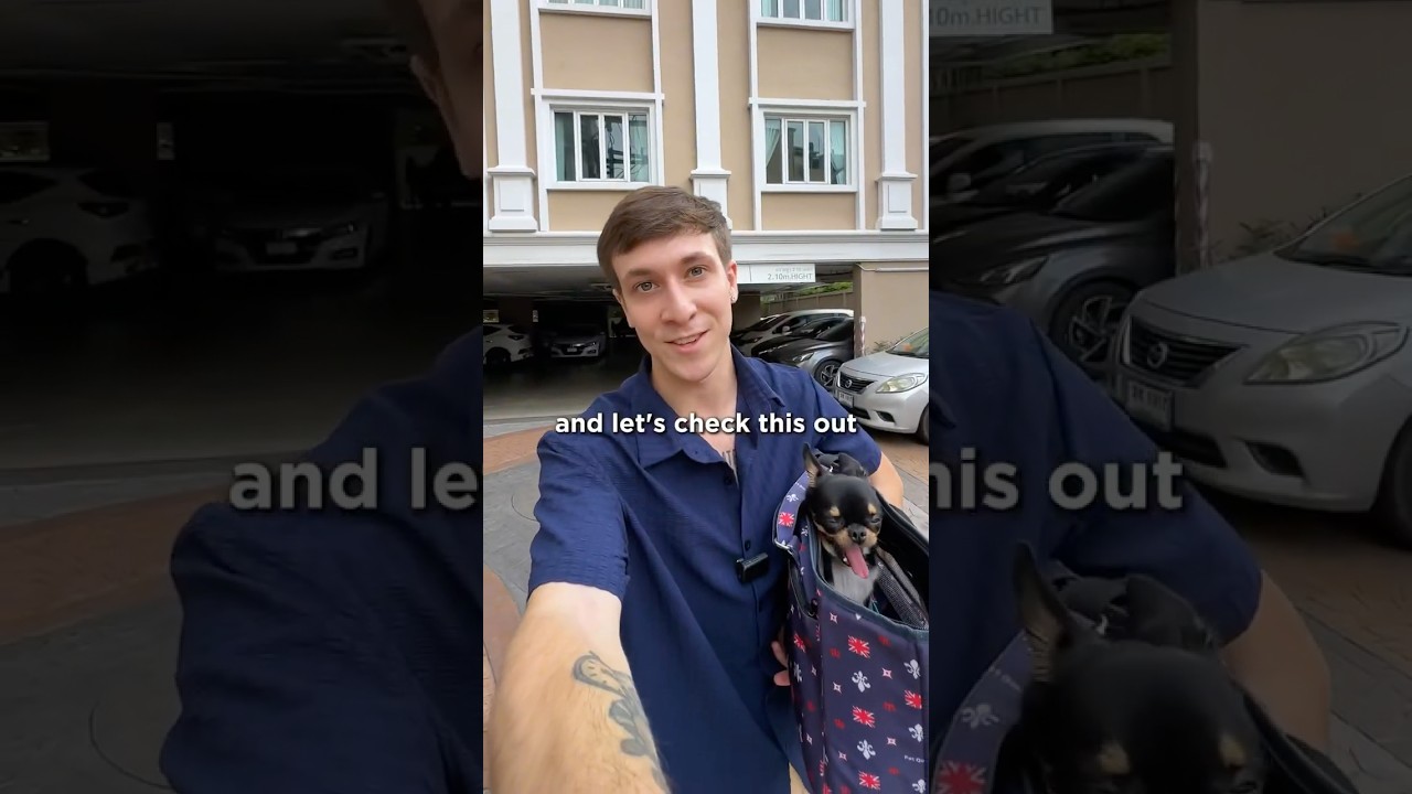 Pet friendly condo tour🐶🐈#thai #thailand #bangkok