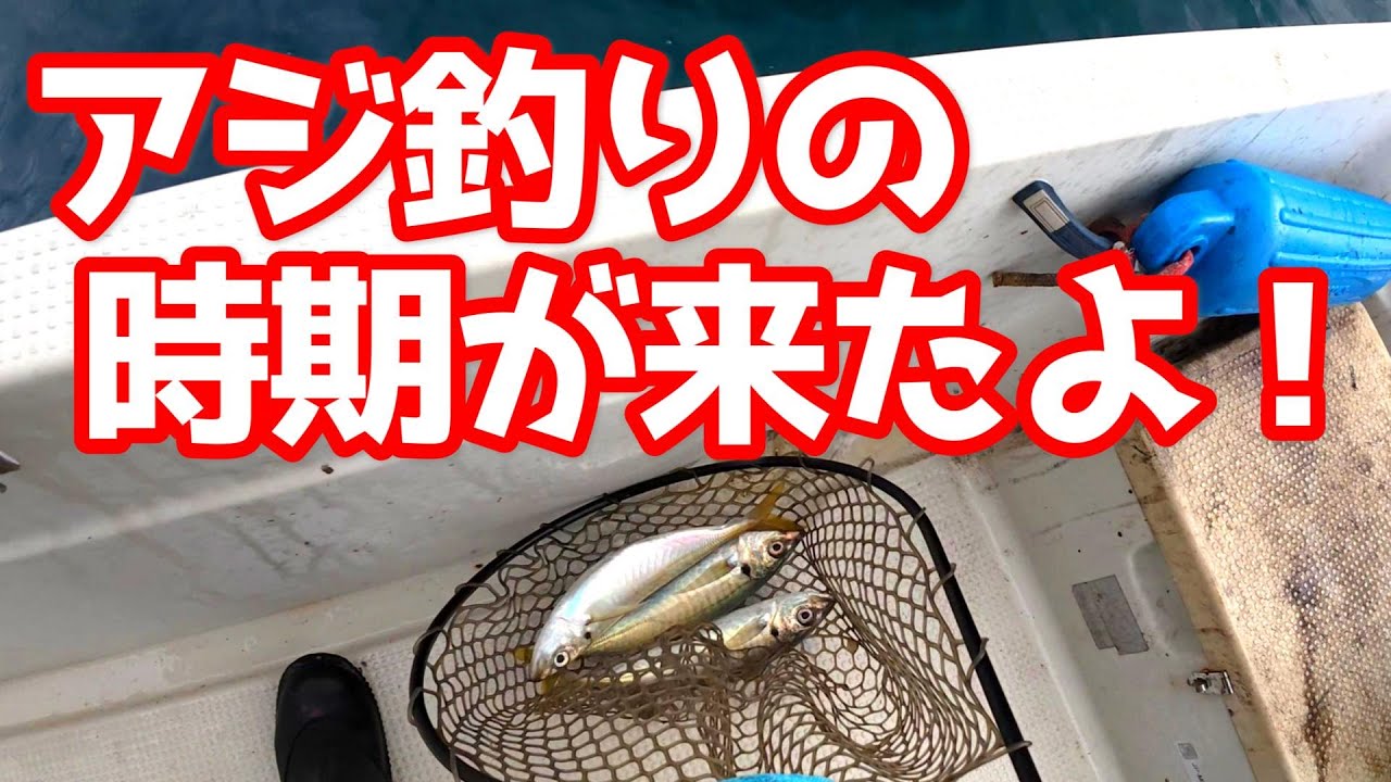 アジ釣りの時期が来たよ！【４K】