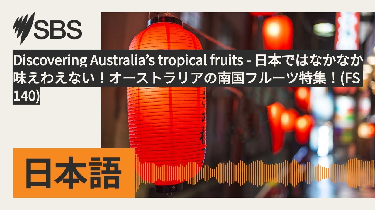 Discovering Australia’s tropical fruits - 日本ではなかなか味えわえない！オーストラリアの南国フルーツ特集！(FS 140) | SBS...