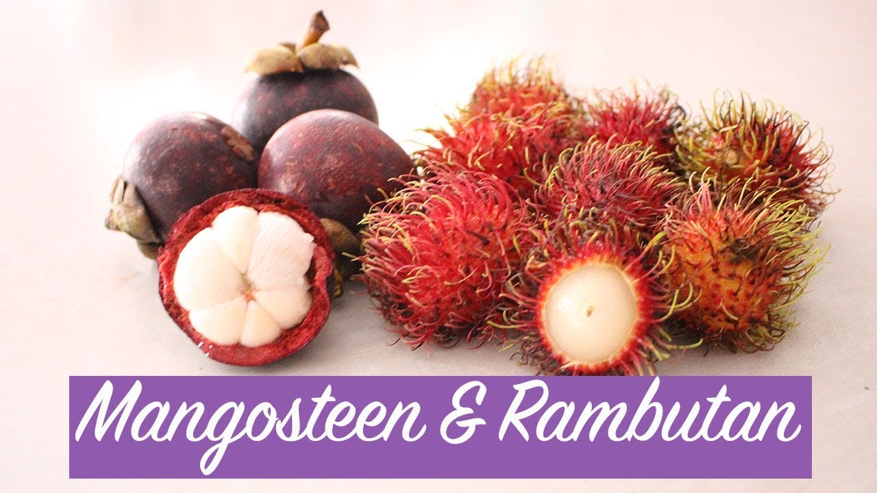 How to Eat MANGOSTEEN & RAMBUTAN