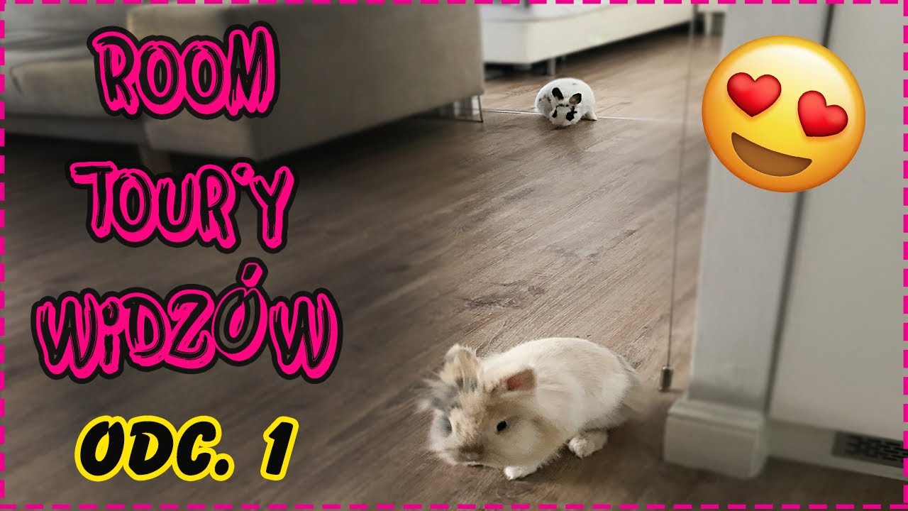 Zobacz jak żyją zwierzaki moich widzów! - Room Tour’y widzów odc.1