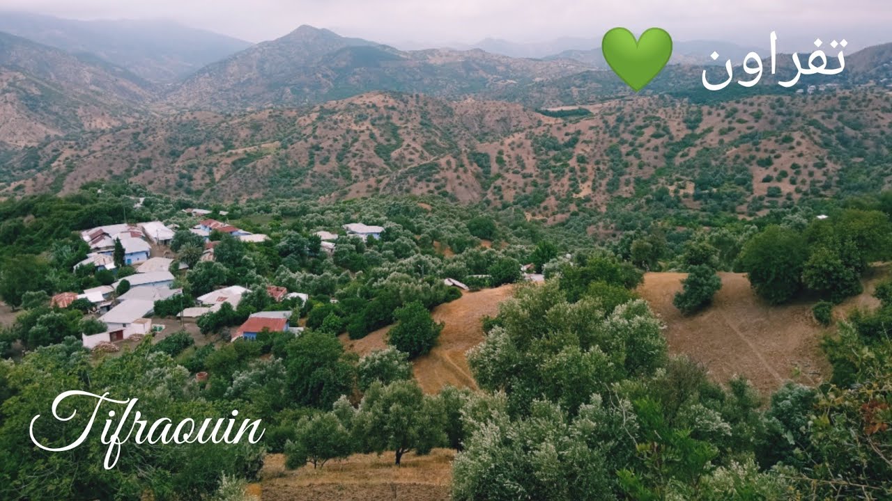 سفر 💚: مناظر خلابة بدوار تفراون نواحي شفشاون محصول التوت ،الرمان ، التين ،البرقوق