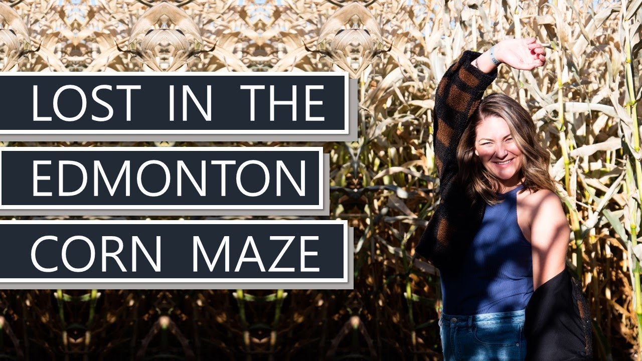 Explore Edmonton | Lost in the Edmonton Corn Maze | Travel Alberta