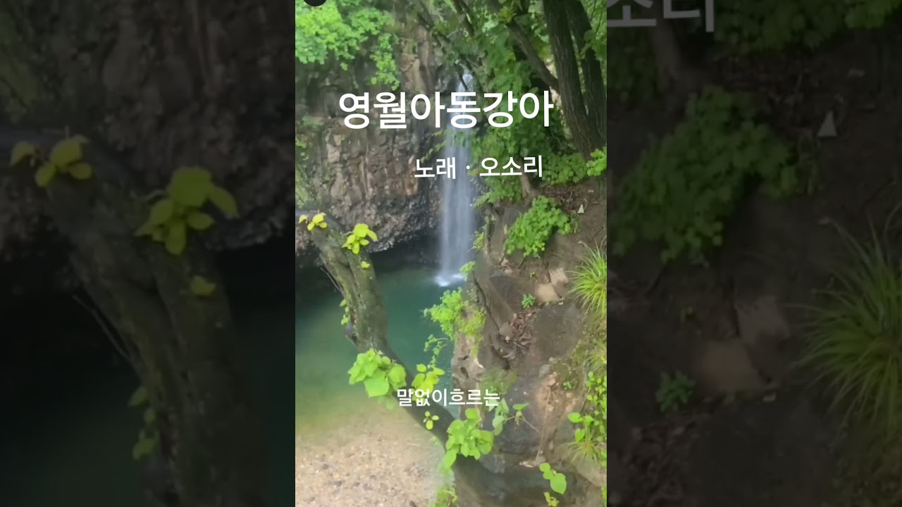 영월아동강아 