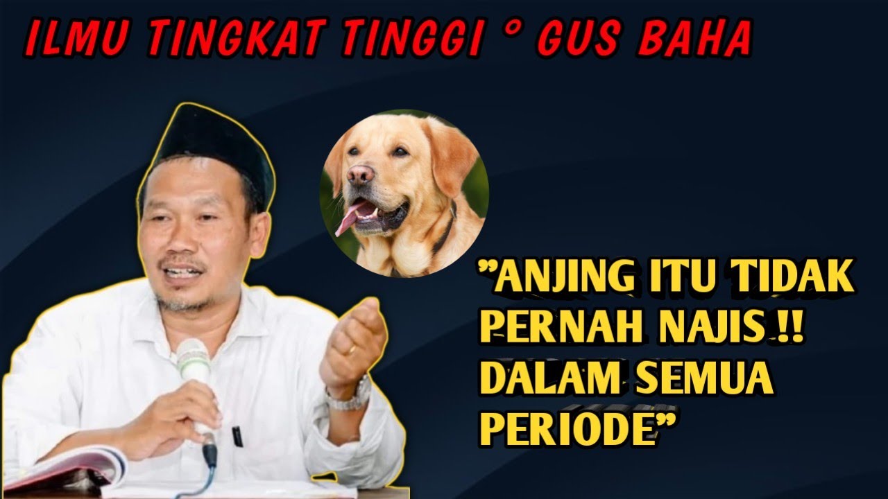 Menurut Gus Baha - Anjing itu istimewa, kenapa najis ?