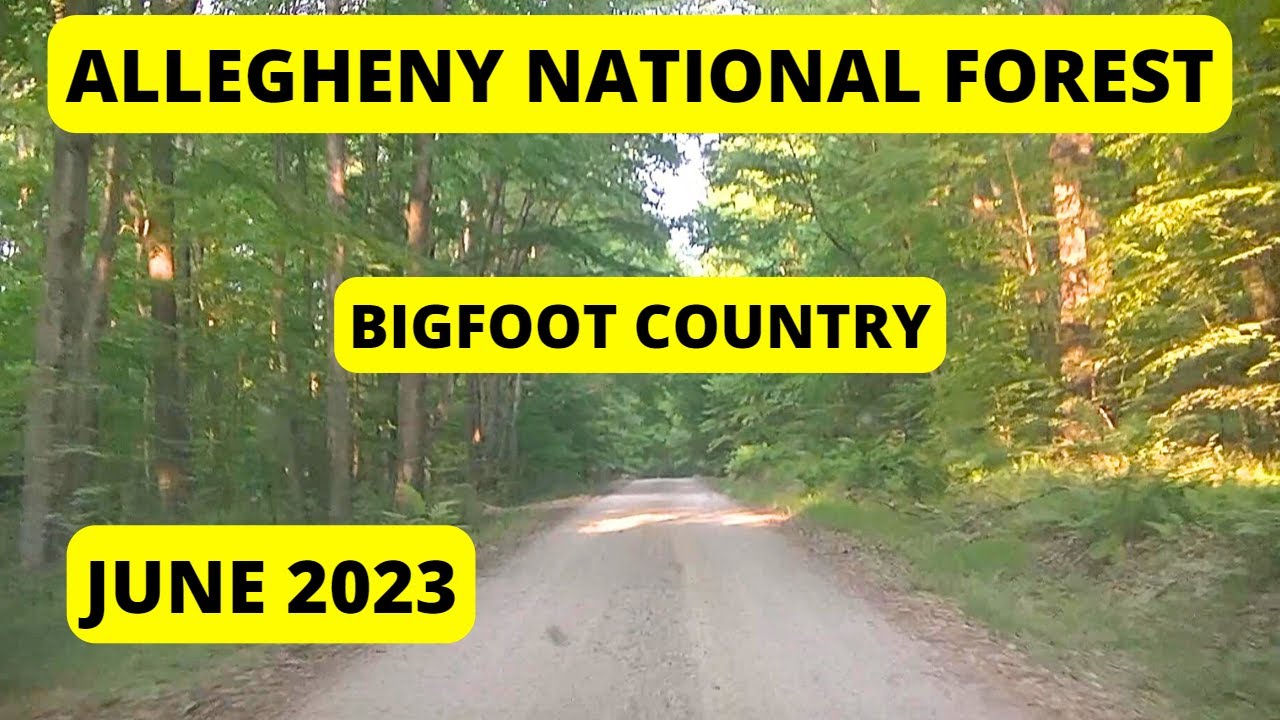 Driving through the Allegheny National Forest - June 2023