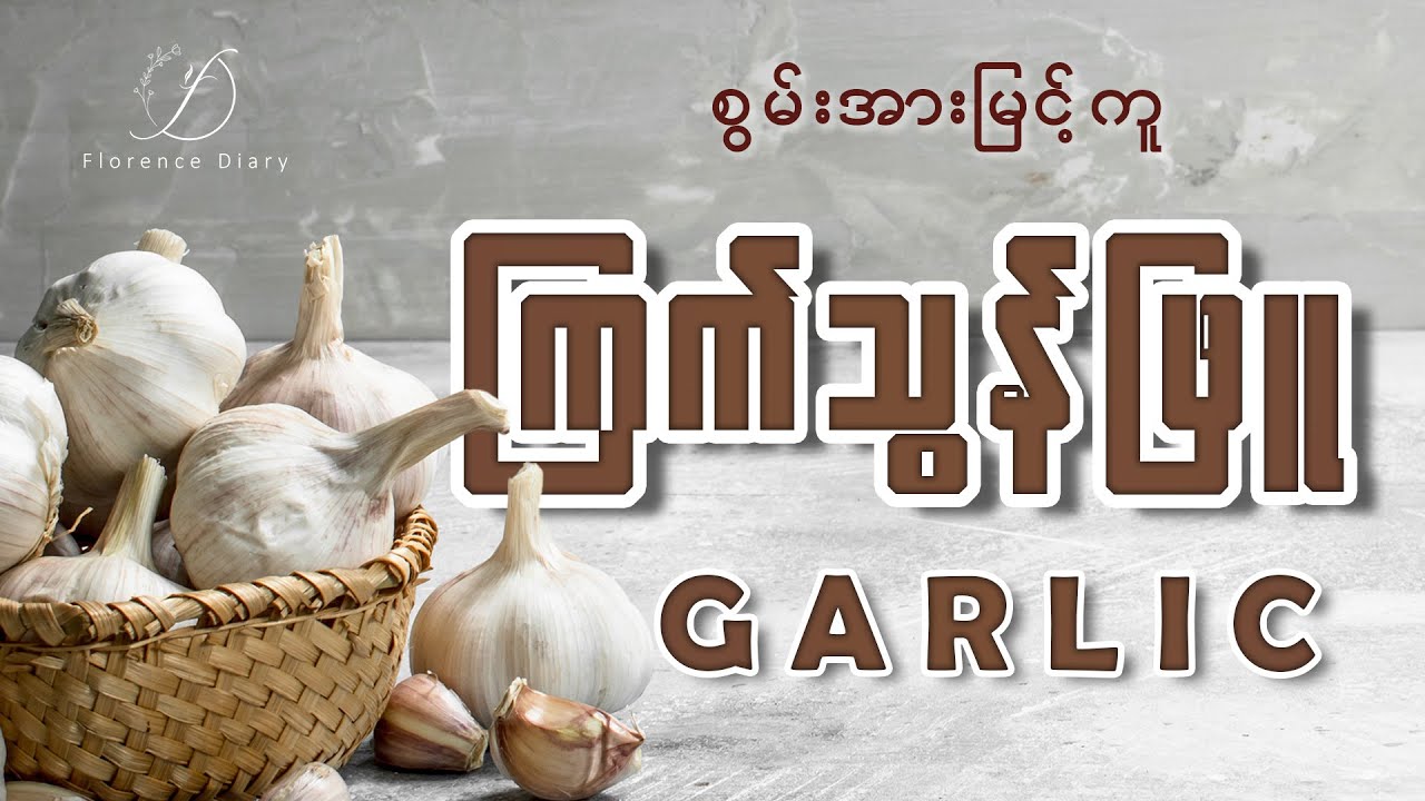 ကြက်သွန်ဖြူ (Garlic)စားလို့ ကျန်းမာဖို့
