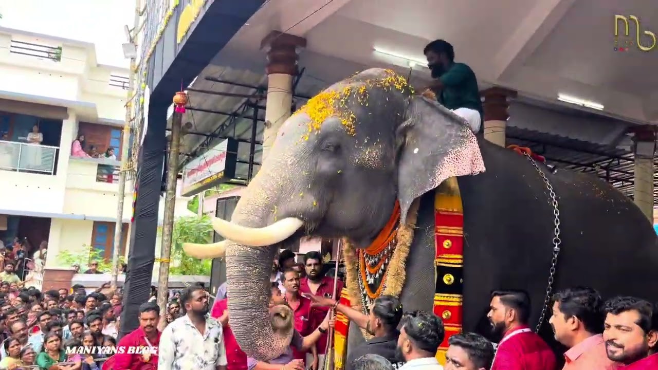 AKKAVILA VISHNUNARAYANAN II MUKATHALA II AANAYOOTTU 2025 II MANIYANS BLOG
