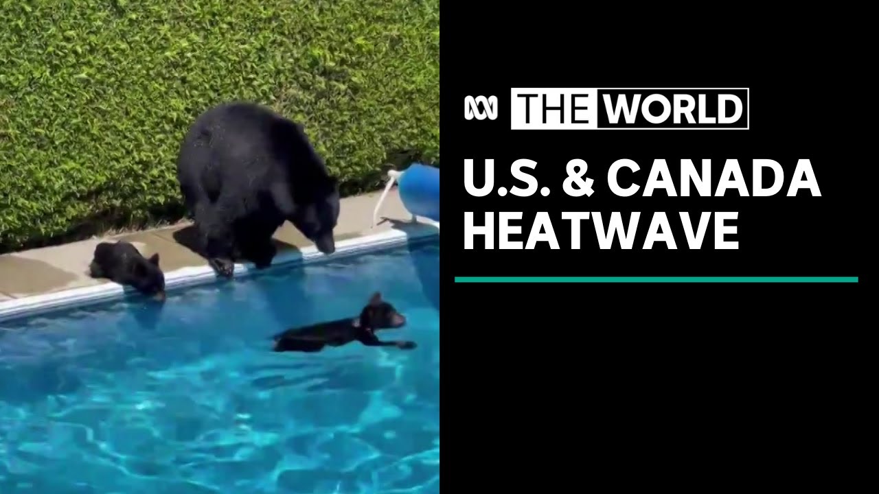 Parts of the US and Canada swelter through record-breaking heatwave | The World