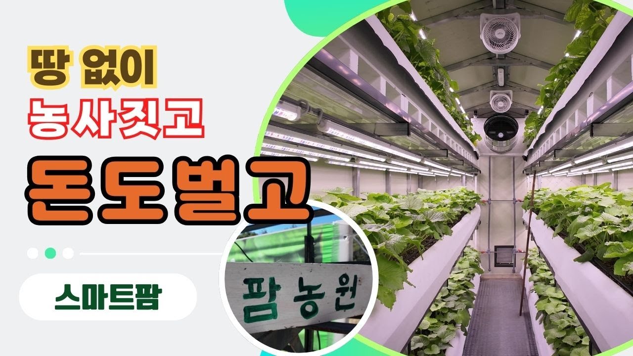 의왕 스마트팜 와사비 농사를 내 소유 토지없이 수입까지올리기