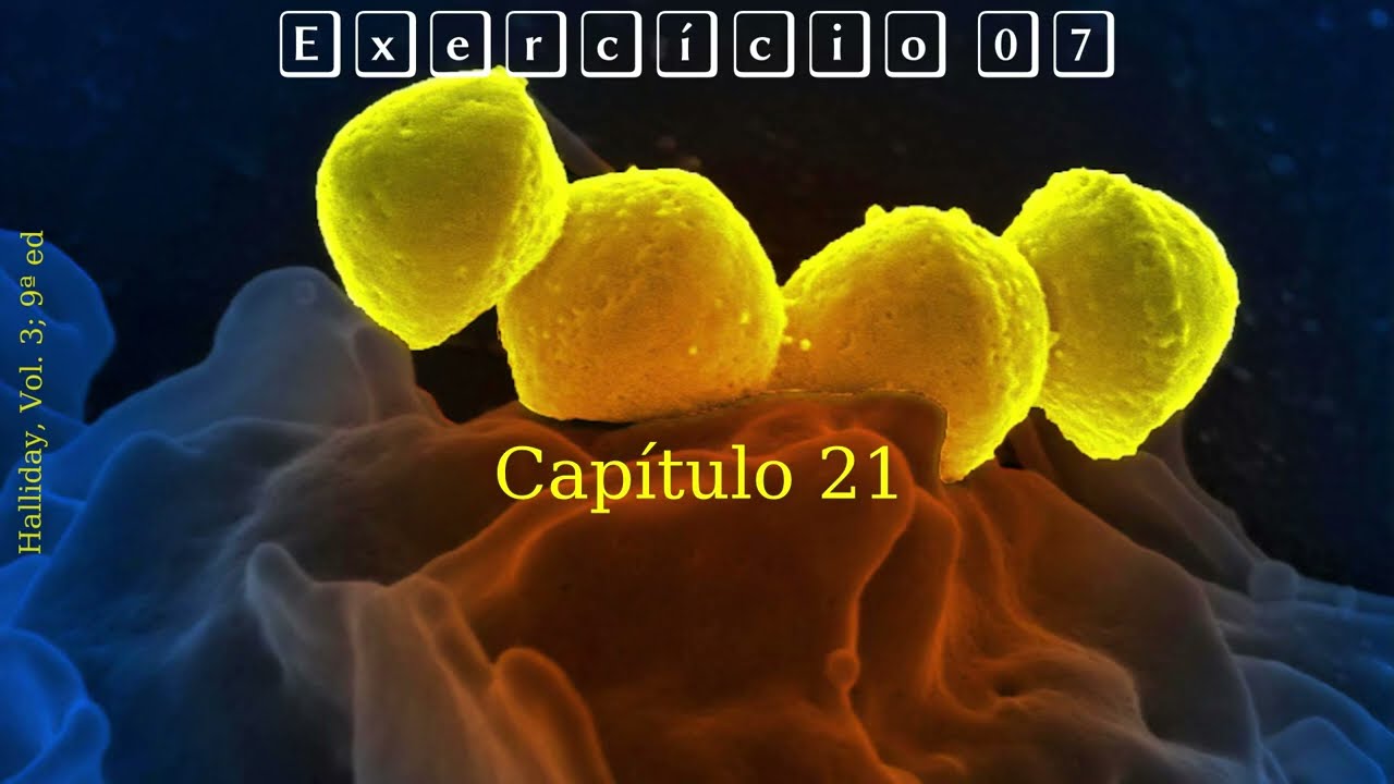 Halliday, Vol. 3, 9ª ed., exercício 07, capítulo 21.