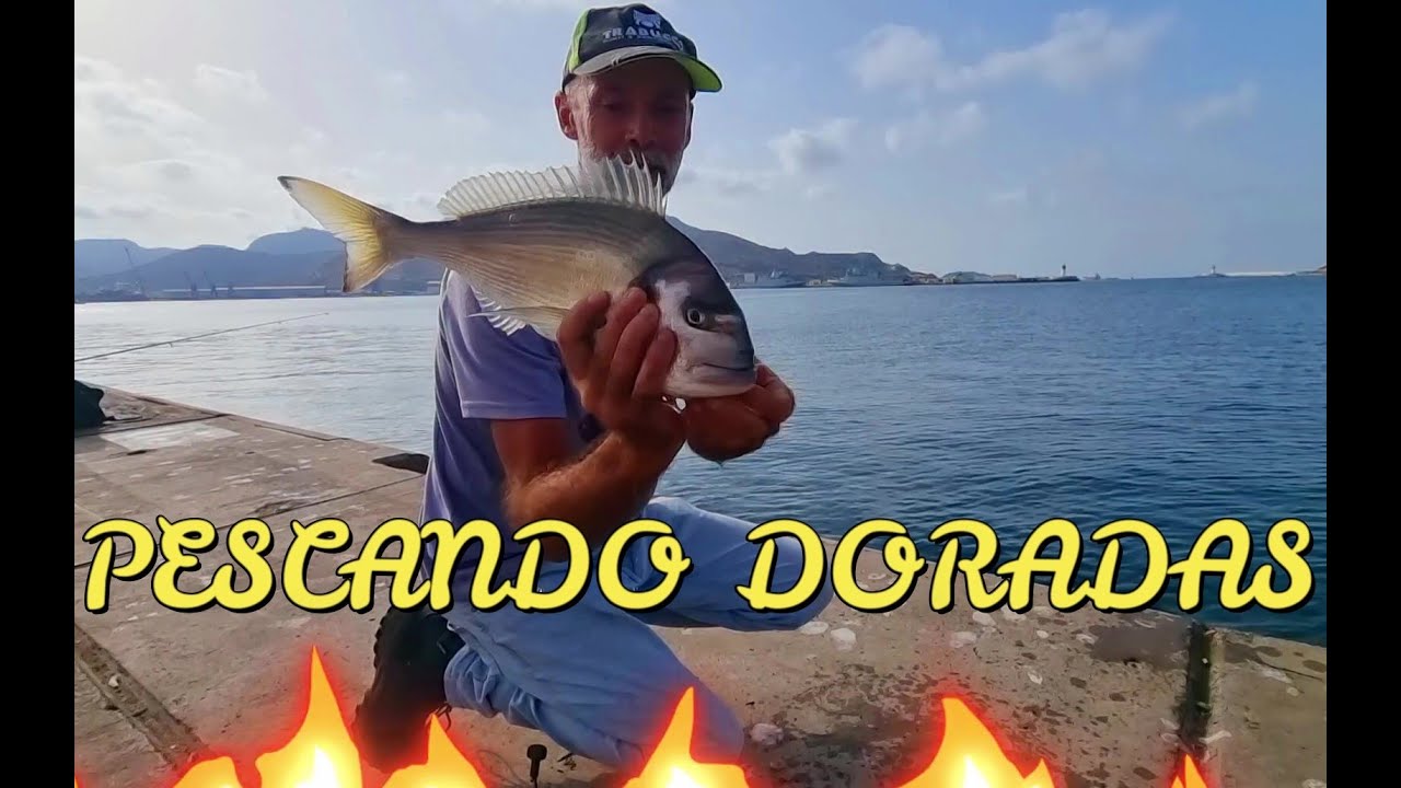PESCANDO DORADAS 🎣🐟😎