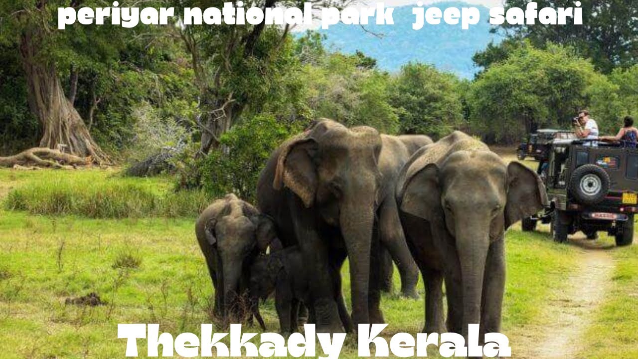 Thekkedy Tourist places|Jungal Safari| Kathakali Dance|Tekkady Tour|Kerala Tour|vlog no-19|Part-4|