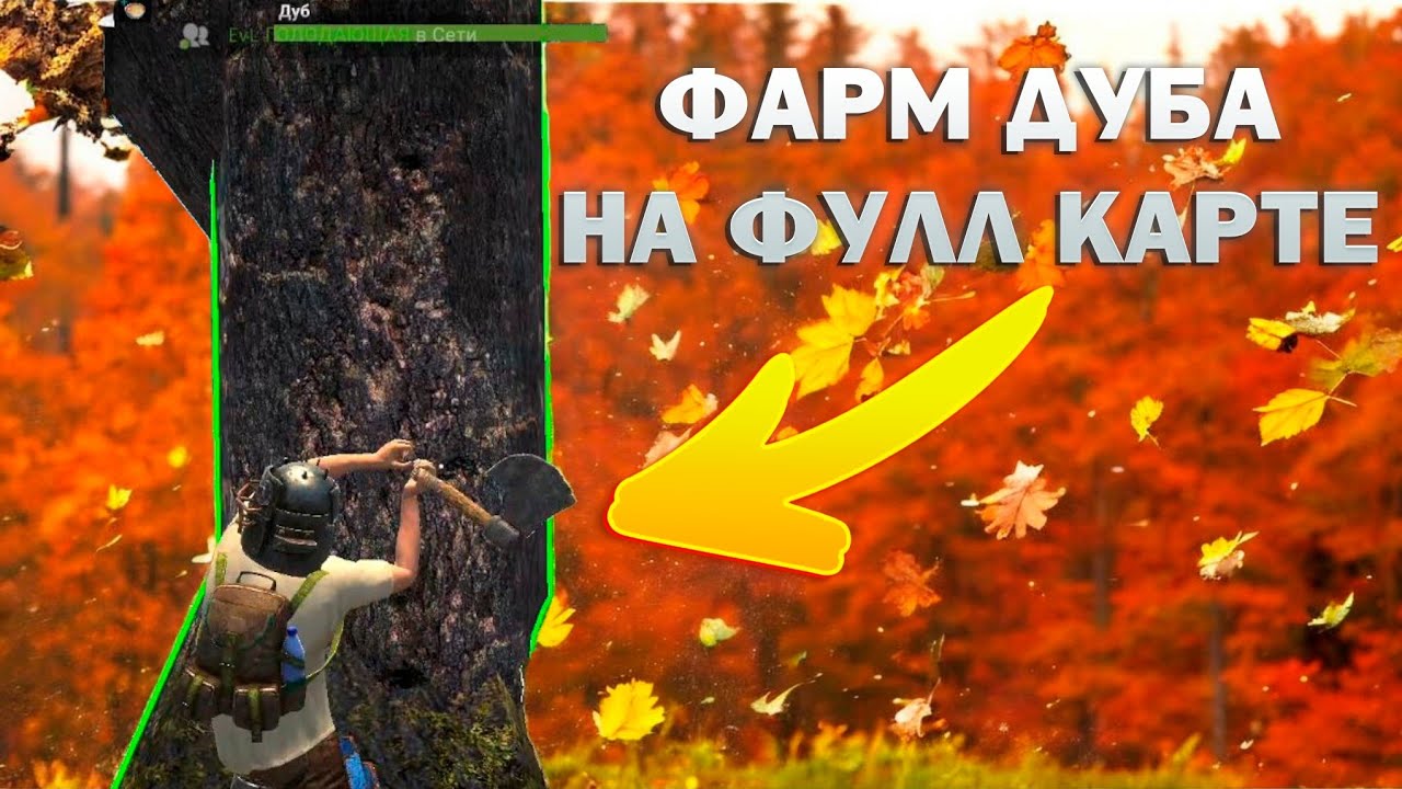 ФАРМИМ ДУБ ПОД СУПОМ НА ЗАБИТОЙ КАРТЕ | TOMORROW