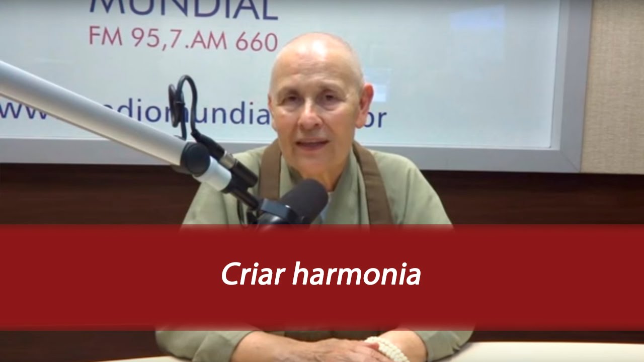 Criar harmonia - Programa Momento Zen