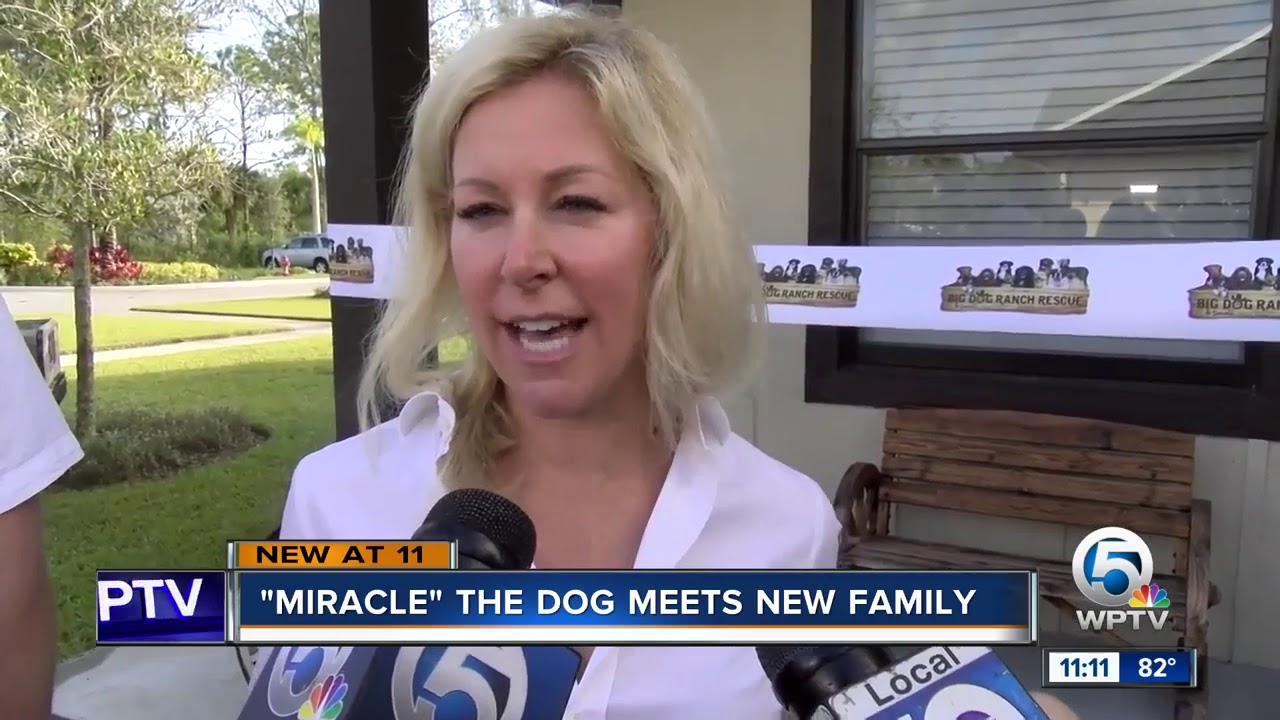 'Miracle' dog adopted, meets his new family!