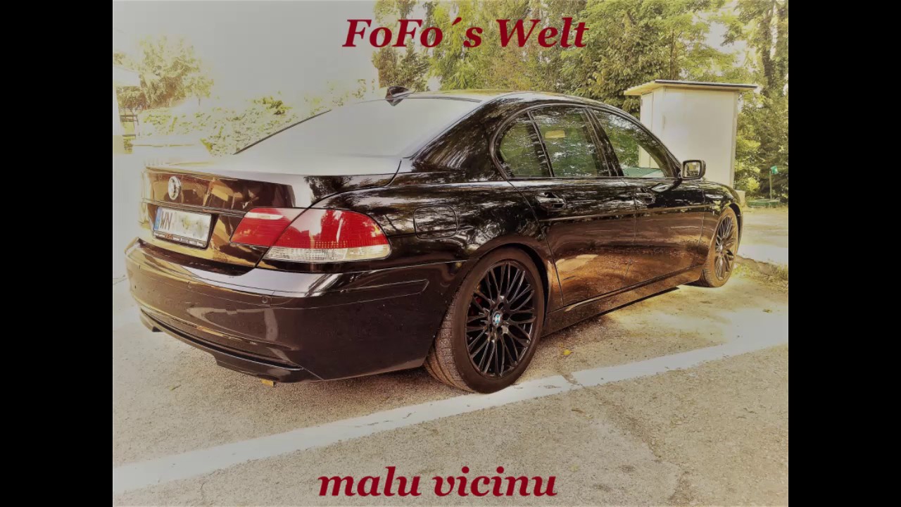 malu vicinu