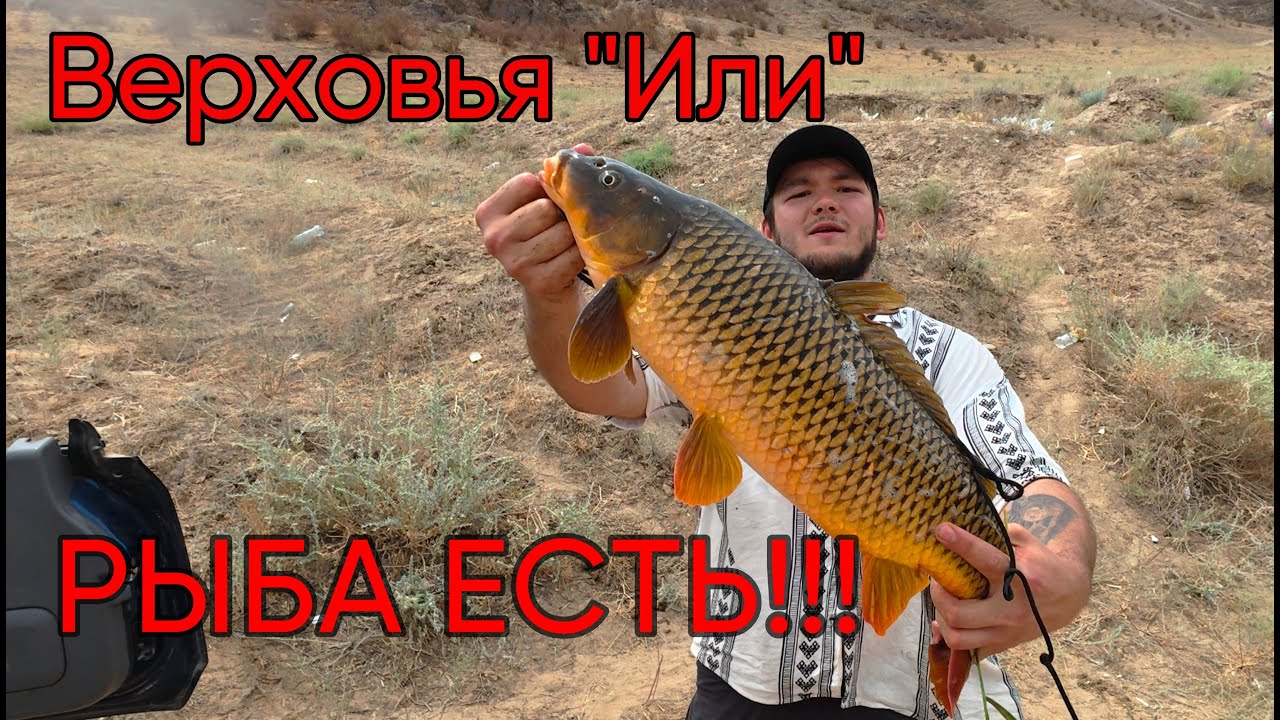 Локация - 