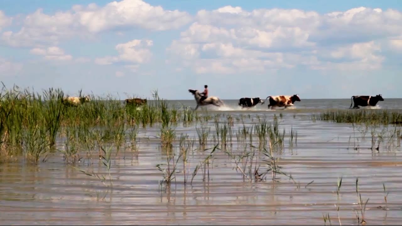 7 Etnii la Marea Neagră | Documentar