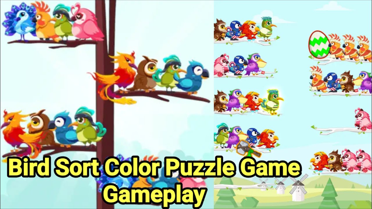 Bird Sort Color Puzzle Game Gameplay