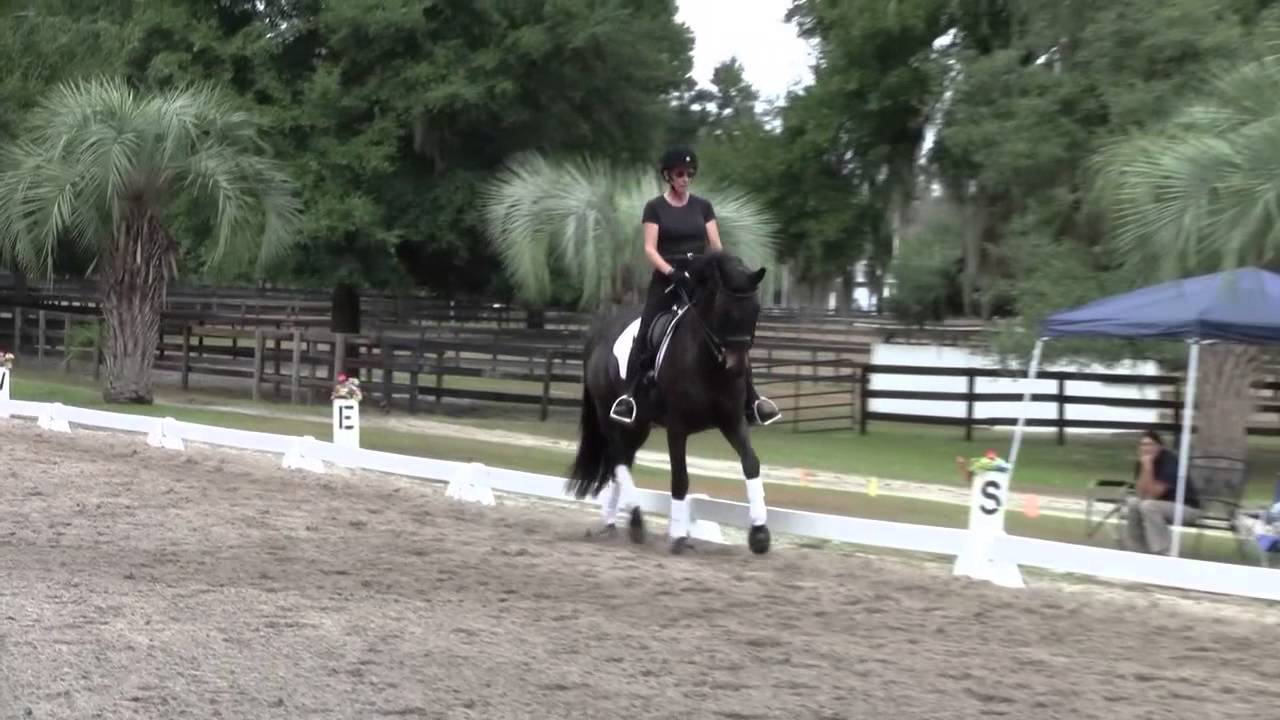 Kim Benson riding in the Catherine Haddad Staller Clinic 11-23-14
