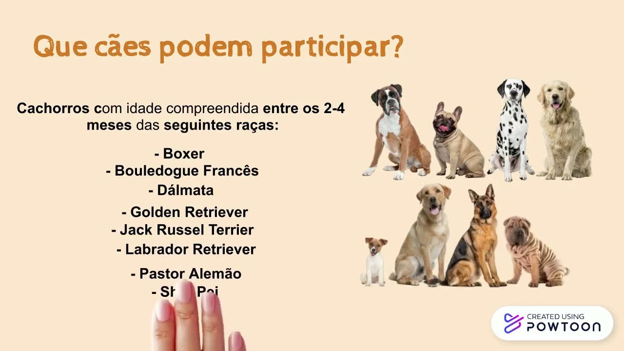 Estudo - Preven&ccedil;&atilde;o Dermatite At&oacute;pica Canina