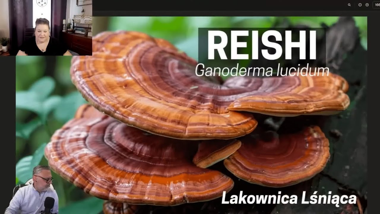 Reishi - grzyb nieśmiertelności - korzyści, legenda i zastosowanie | Ewelina Lisak