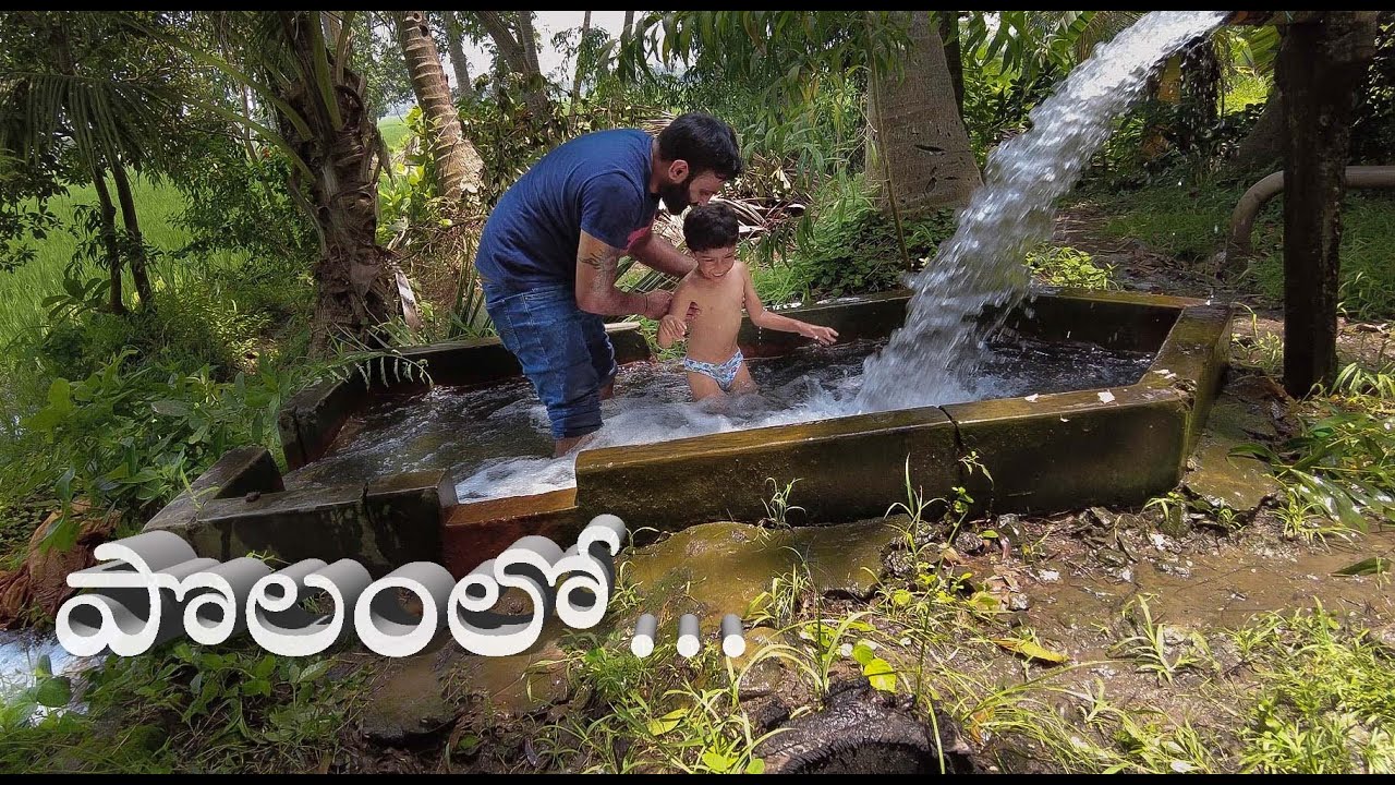 ఈస్ట్ గోదావరి పొలంలో.. | UK Telugu Vlogs | India Trip