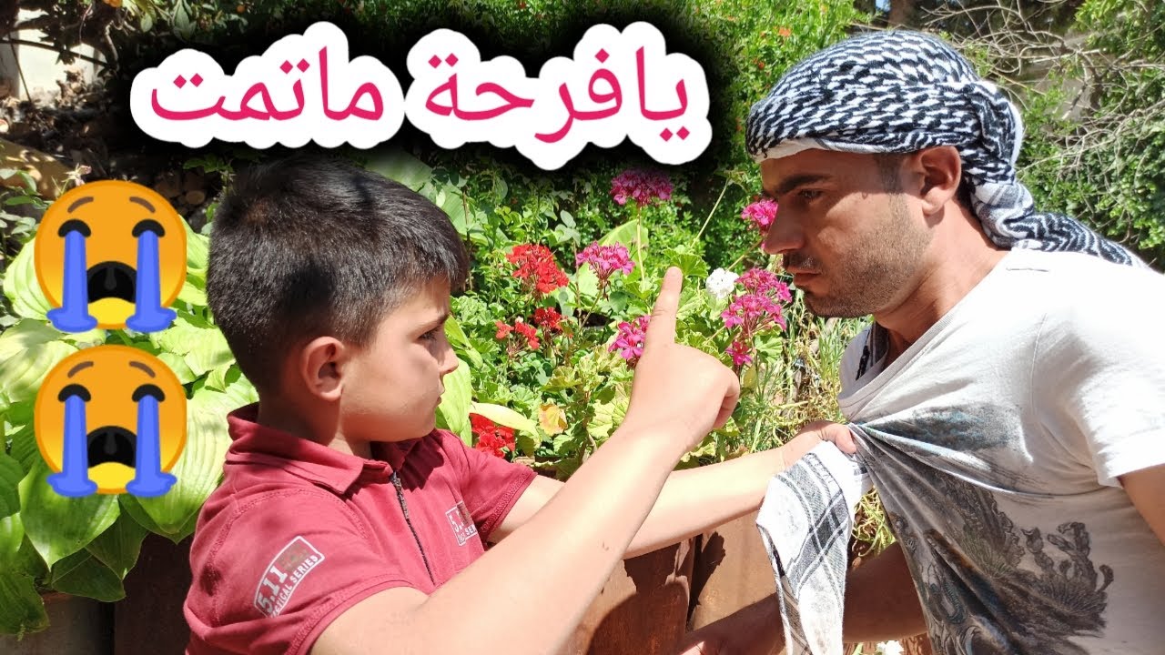كوميدي عفرين| توموق قدر يحل خلاف عمرو عشرين سنة | جزء الثاني