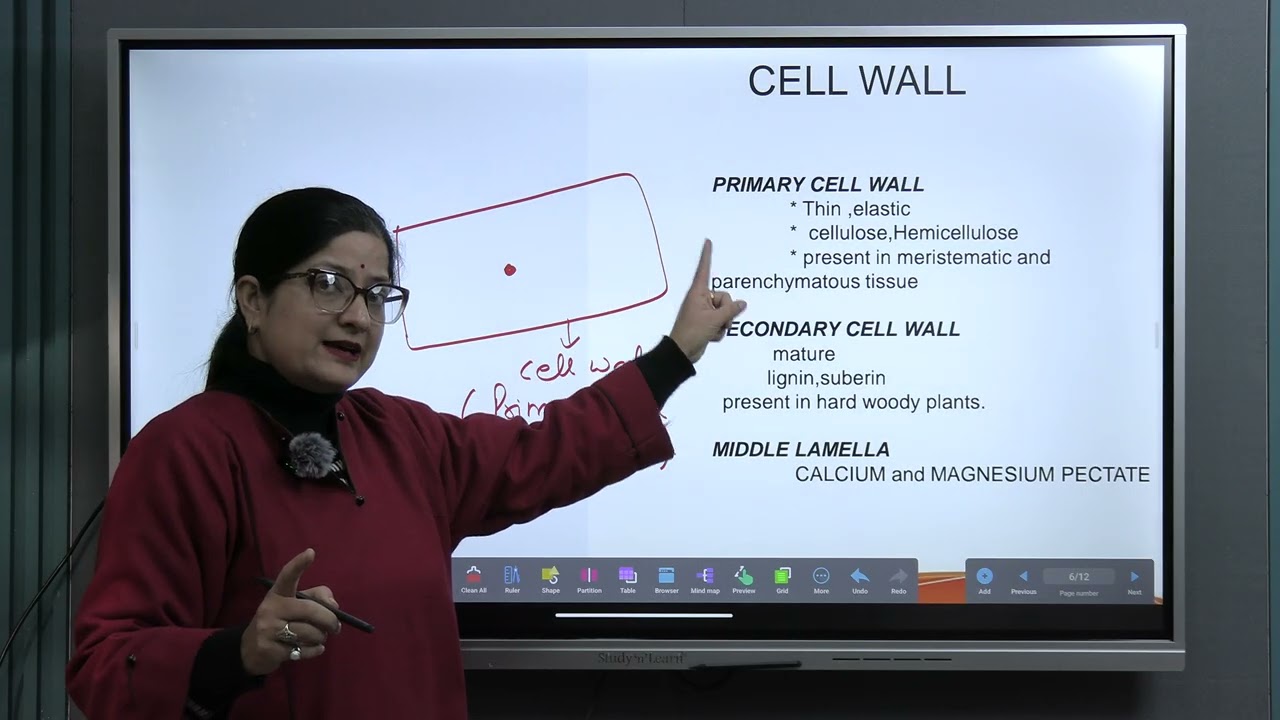 Class 9 Biology The Fundamental Unit of Life (Part 2)