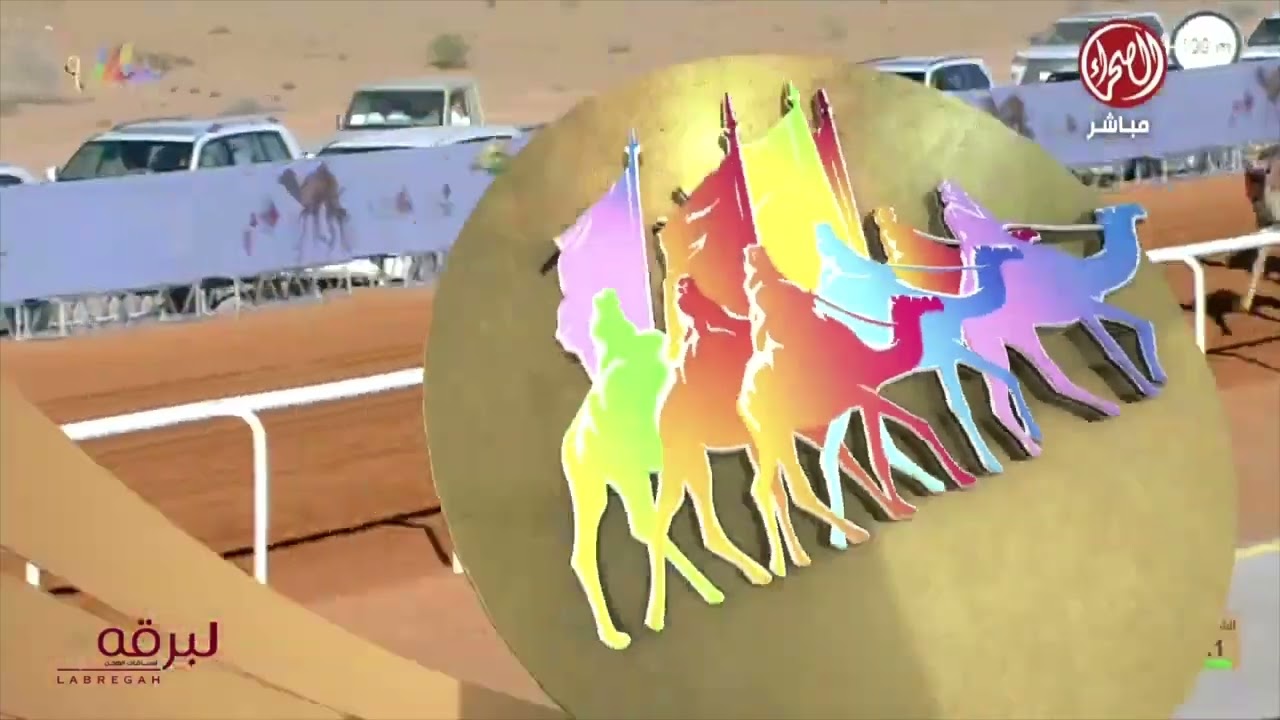 ملخص أشواط الحقايق العامة (جائزة الملك عبدالعزيز للهجن 2024) صباح 12-12-2024