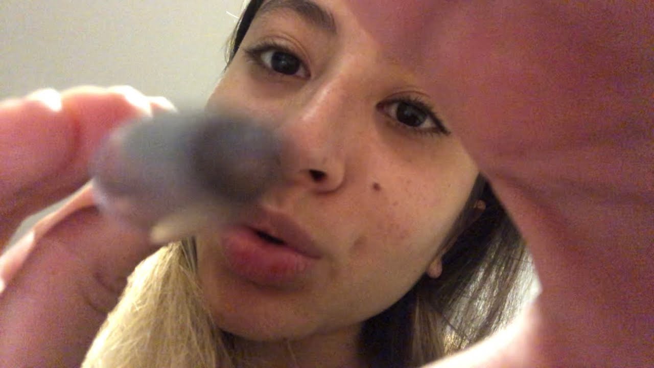 Asmr: Dentista do tiktok arrancando seus dentes