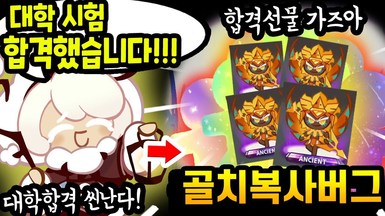 🙌대학합격하신 주인분 등장!! 합격선물로 골드치즈 마구마구 뽑아 주작했습니다^^ㅋㅋㅋㅋ - [ 쿠키런 킹덤 ]