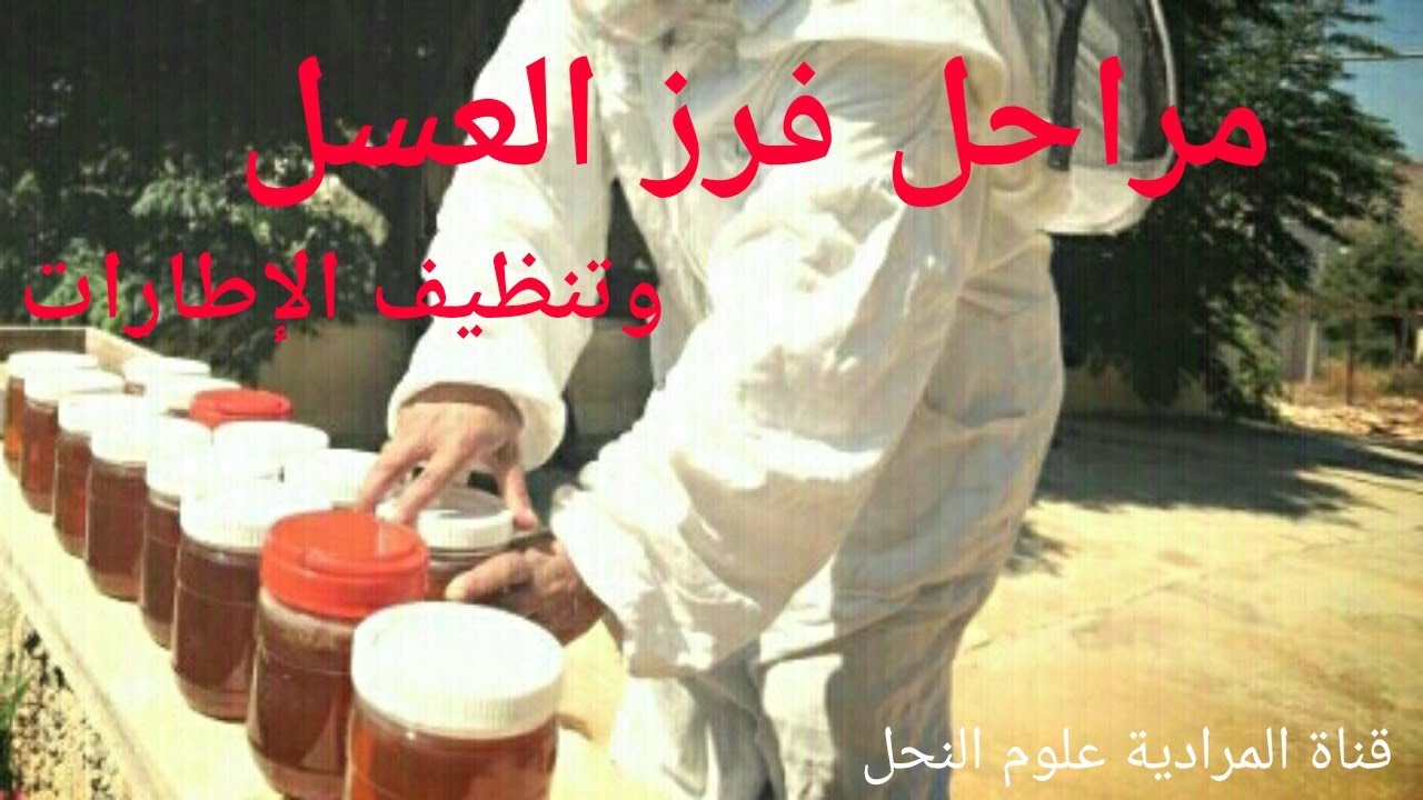 مراحل فرز العسل وطريقة تنظيف الإطارات