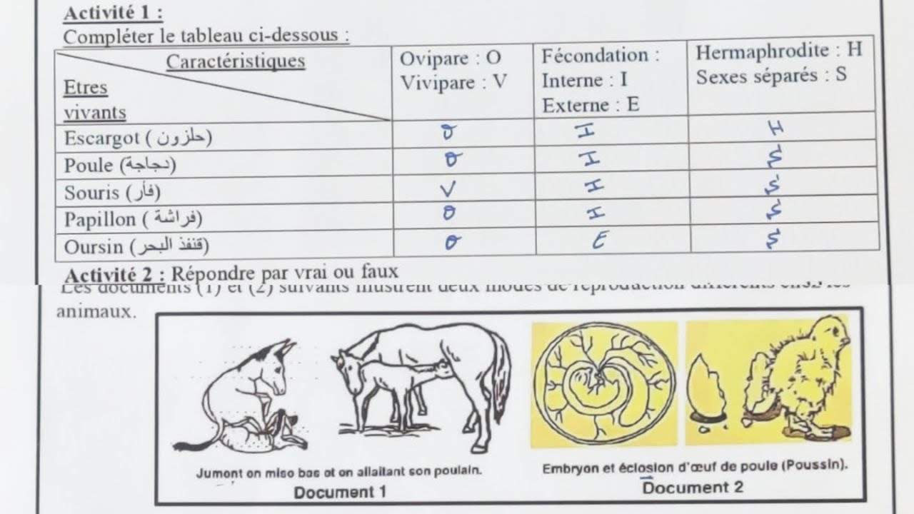 Contrôle N°1 S2 SVT ثانية إعدادي