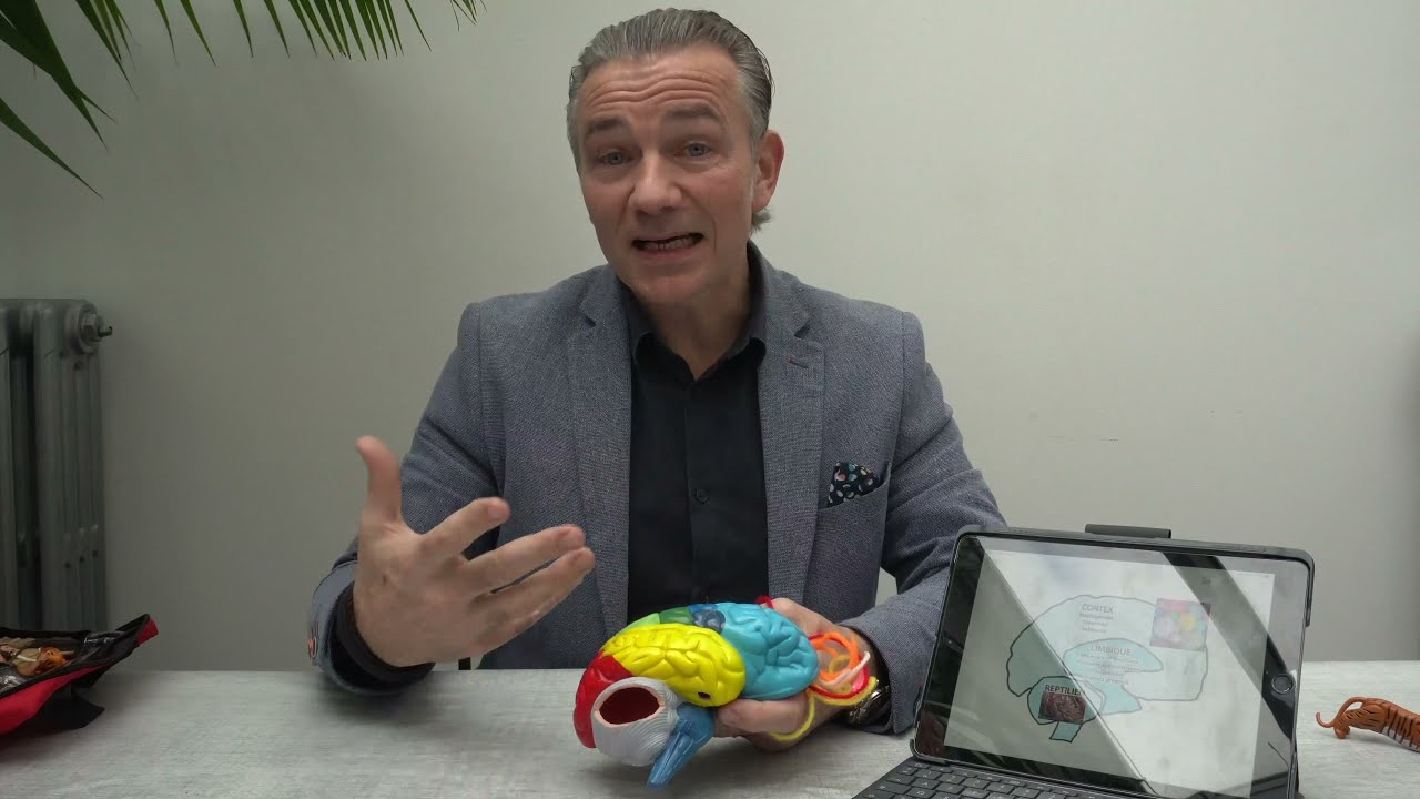 Le Trauma c’est quoi ? L’ Etat de Stress Post Traumatique c’est quoi ?