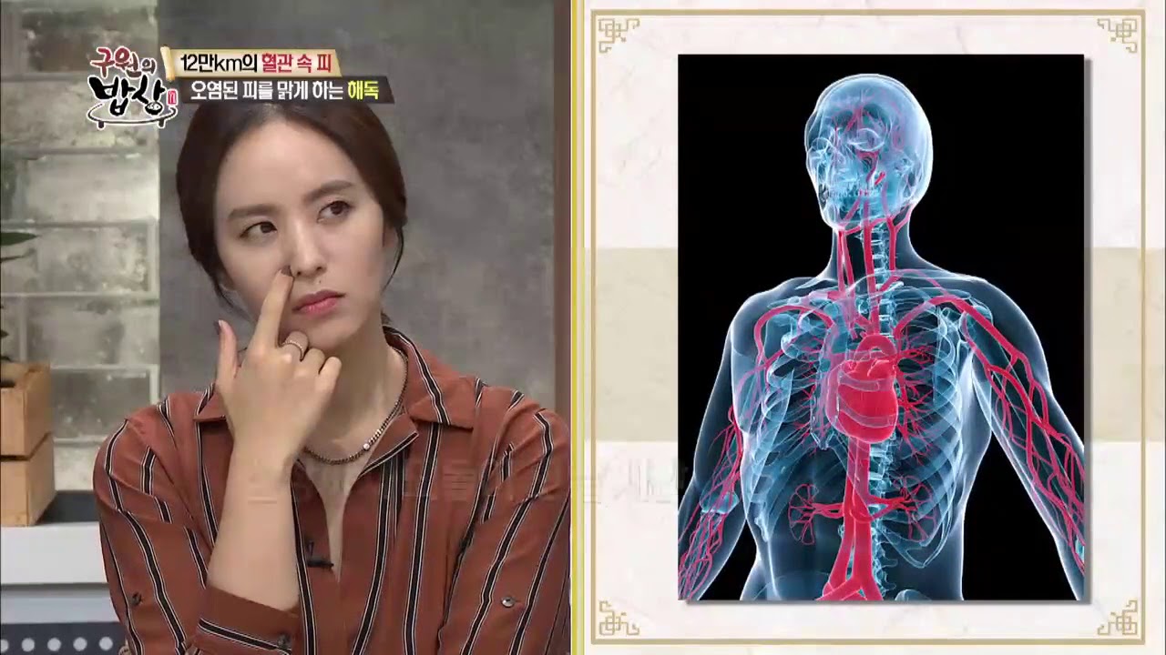 25초만에 내 몸에 독소가?! 피 해독이 중요한 이유는?  _채널A_구원의밥상 10회