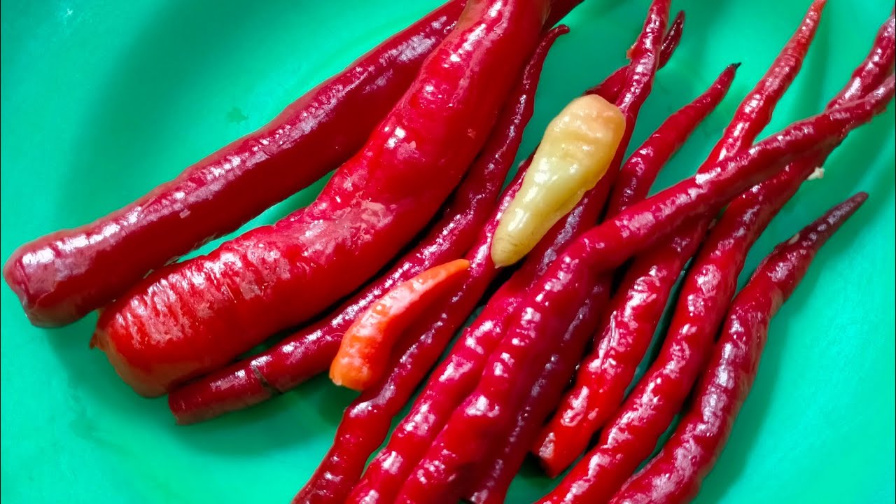 CABE JADI GAK PEDAS LAGI! BEGINI CARANYA