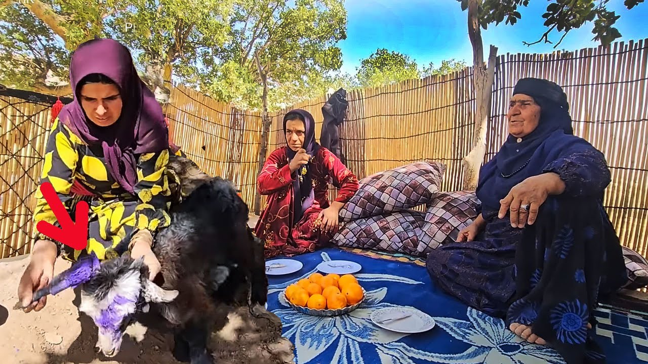 Fariba's amazing action to mark goats
