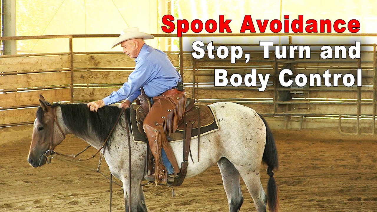 Horse Training For Spook Avoidance - Stops, Turns & Body Control - Foundation Horse Training