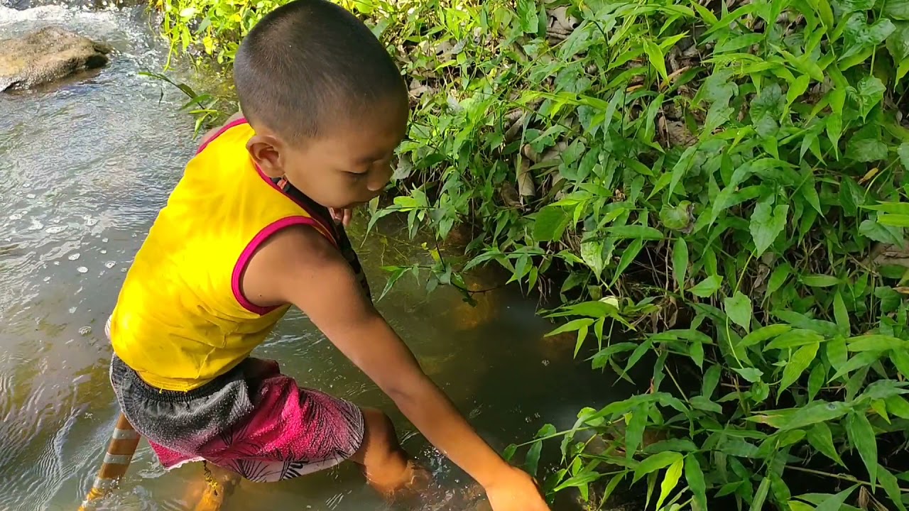 amazing two kids catch crab in the river