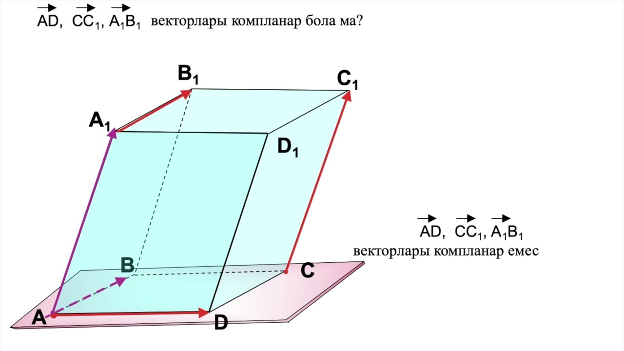 Коллинеар және компланар векторлар