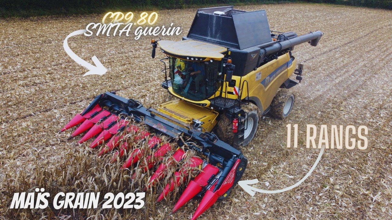 moisson de maïs grain 2023🌽 | CR9.80 Capello 11 rangs 😈