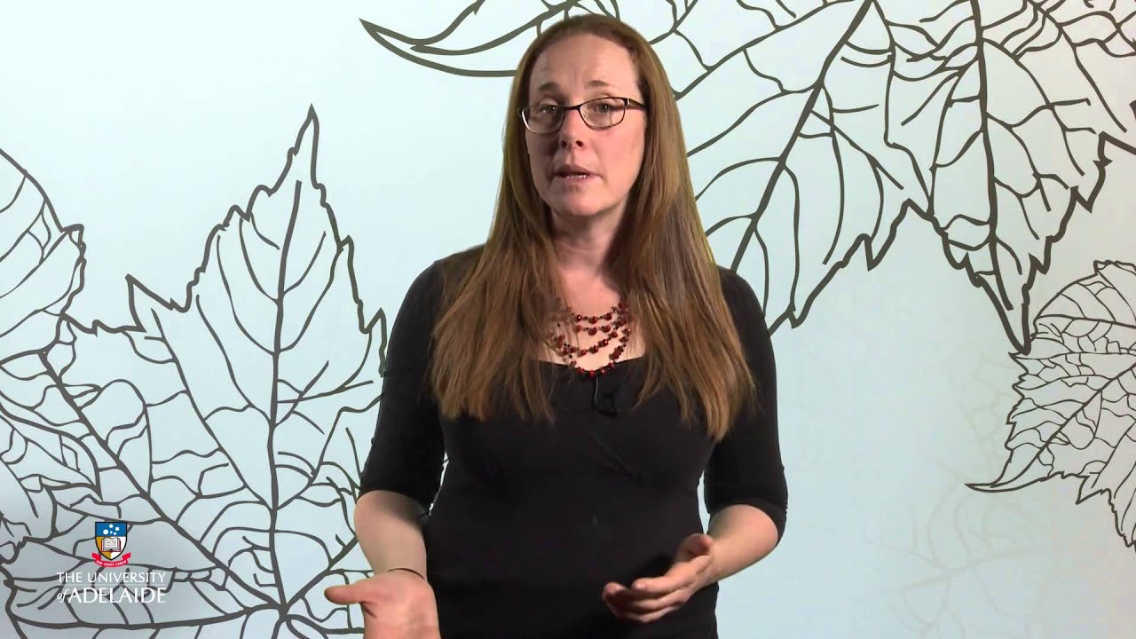 World of Wine: Vineyard management practices